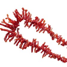 Koralle Mittelmeer Sardegna rot Edelkoralle Ästchen Strang 50 cm Kette