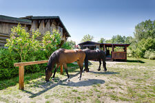 50LG RASENWABEN RASENSTEINE