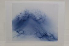 WOLFGANG TILLMANS : "Blushes