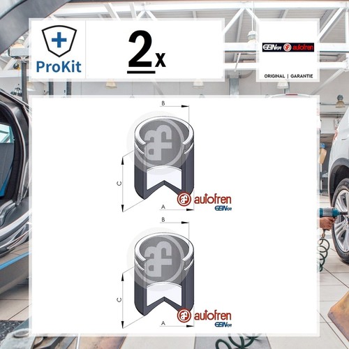 Autofren seinsa kolben - autofren,