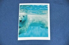 REWE ABENTEUER TIERWELT