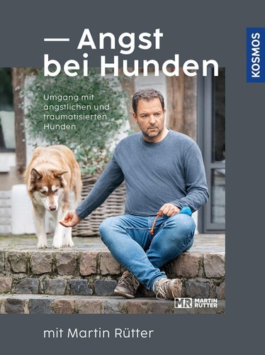 Angst bei hunden mit - hunden,