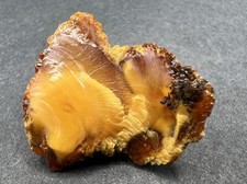 Klassiker! Bernstein