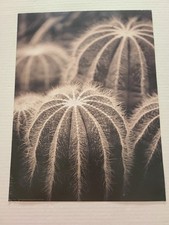 Ikea- BILD- Poster Prints-