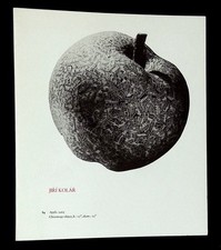 Thomas M Messer / Jiri Kolar