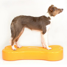 K9 Sports Bone Large Hunde