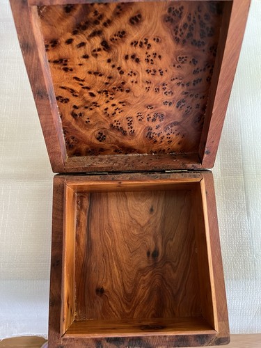 Thuja holz schatulle - thuja,