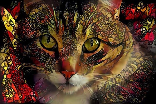 Katze schreibunterlage - katze,