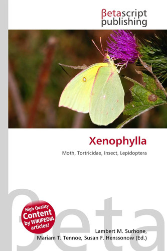 Xenophylla moth tortricidae - xenophylla, moth,