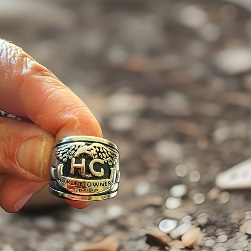 Harley owners group - owners, ring
