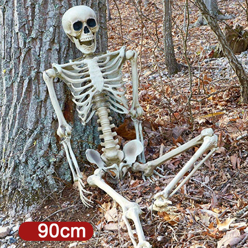 Skelett halloween 90cm - skelett,