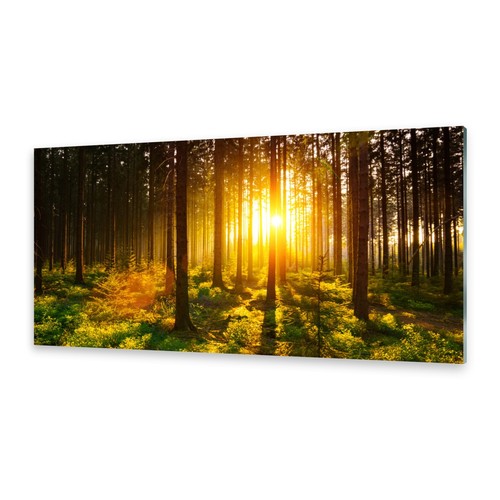 Acrylglasbilder wandbild aus - acrylglasbilder,