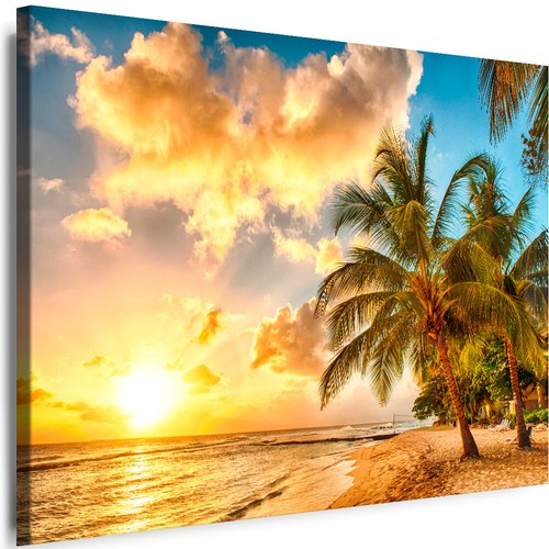 Bilder leinwand natur - bilder,