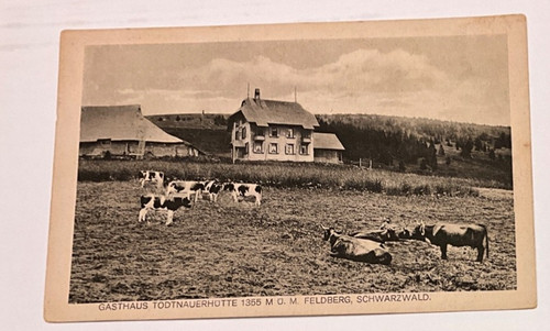 3073 gasthaus - 3073,