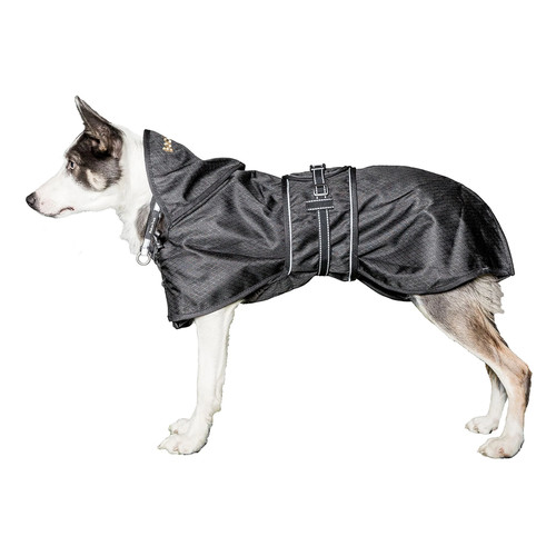 Back track hunde - back,