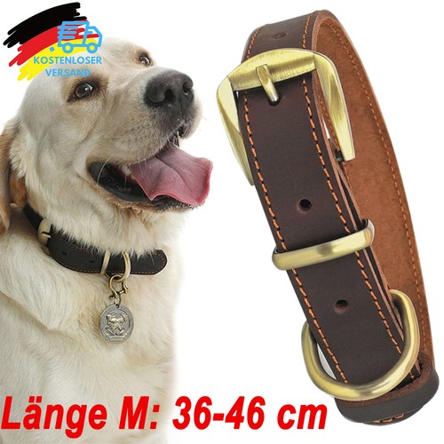 Hundehalsband leder hunde - hundehalsband,