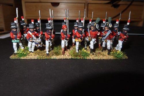 Perry 28mm pro - 28mm, pro-painted