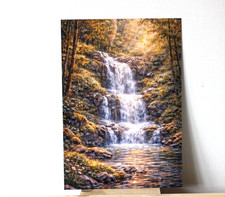 Natur Wald Poster A4