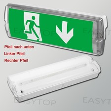 Notausgang Schild Akku Notleuchte Rettungsweg Fluchtweg ISO7010 selbstkl 1-10X