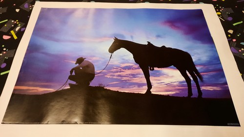 Poster mit pferd - pferd, reiter