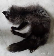 Pelzkragen Stola aus