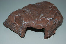 Vivarium große braune