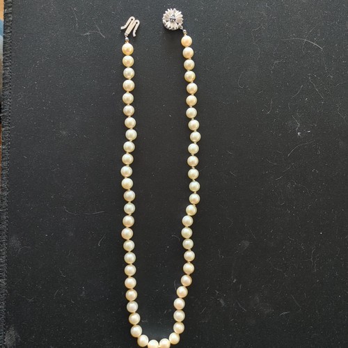 Perlenkette echtschmuck - perlenkette,