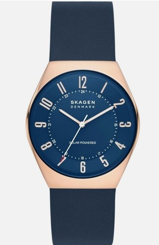 Skagen grenen solar - grenen,