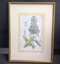 Altes Bild Gerahmt In