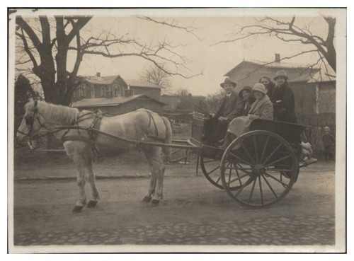 Xx2423 kutsche einspänner - kutsche,