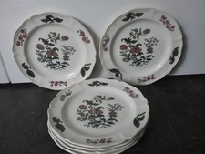 18808/ Wedgwood Mandarin 6 Vorspeisenteller Dessertteller   Ø ca. 16,5 cm