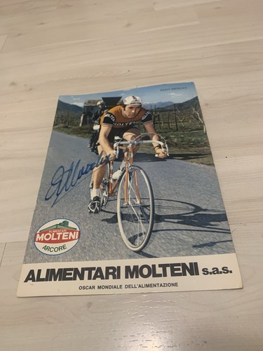 Eddy merckx molteni maxi - eddy,