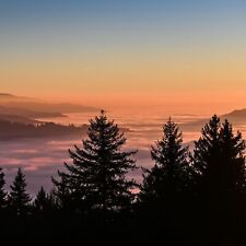 Hotelgutschein Schwarzwald günstig | 2 Nächte 2 Personen & Frühstück Staufen