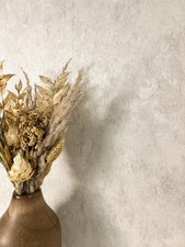 NEWROOM Vliestapete Creme