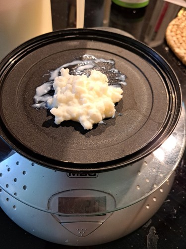 Milchpilz milchkefir - milchpilz,,