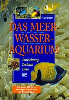 Das meerwasser aquarium - das, meerwasser-aquarium