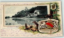 13485161 - 6702 Limburg Jagdhund Fasan Auerhahn Hase 1904