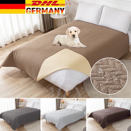 Haustier hunde 100 - haustier, 100%