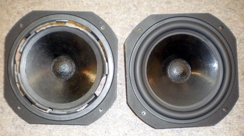 Profi lautsprecher reparatur - profi,
