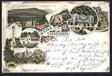 Lithographie Dannenfels am Donnersberg, Gasthaus Villa Donnersberg, Wacht am Rh 