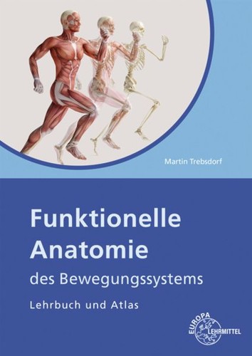 Funktionelle anatomie des - funktionelle,
