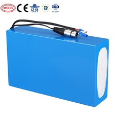 48V 20Ah 1000W Lithium