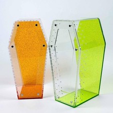 Springspinnen-Terrarium