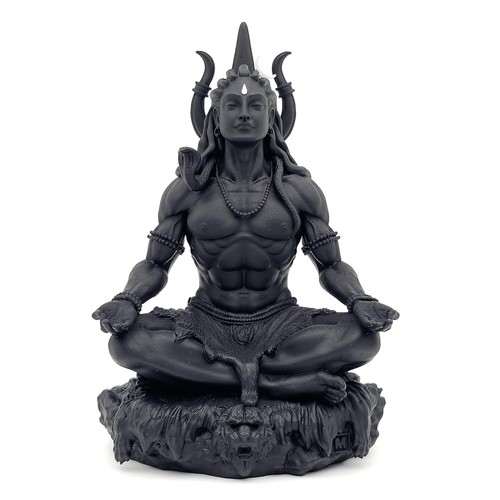Hindu gott mahayogi lord - gott, shiva
