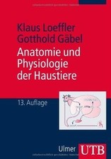 Anatomie und Physiologie der