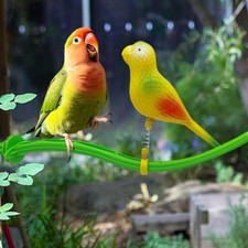 Papagei Barsch Stand Conures