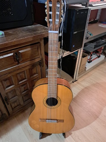 Super alte cosmotone gitarre - super,