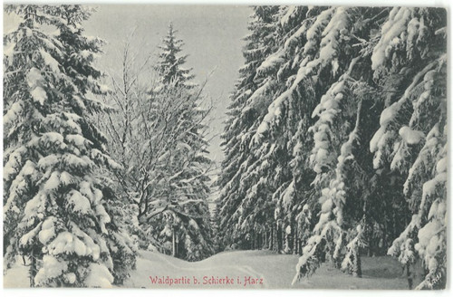 Ansichtskarte schierke - schierke, am