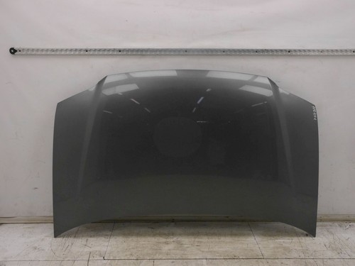 Motorhaube platinumgrey met - platinumgrey,