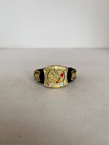 Wwe spinner championship - wwe,
